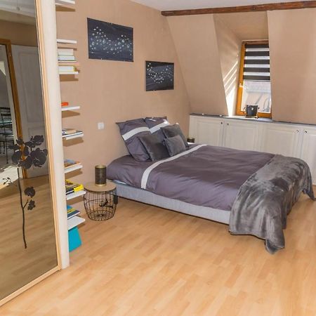 Charmant Appartement Alsacien Ribeauvillé Dış mekan fotoğraf
