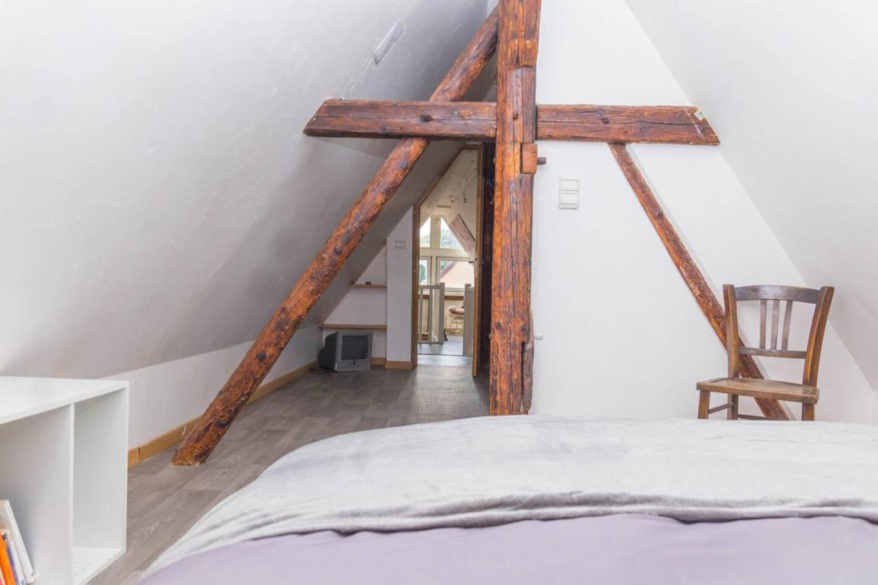 Charmant Appartement Alsacien Ribeauvillé Dış mekan fotoğraf