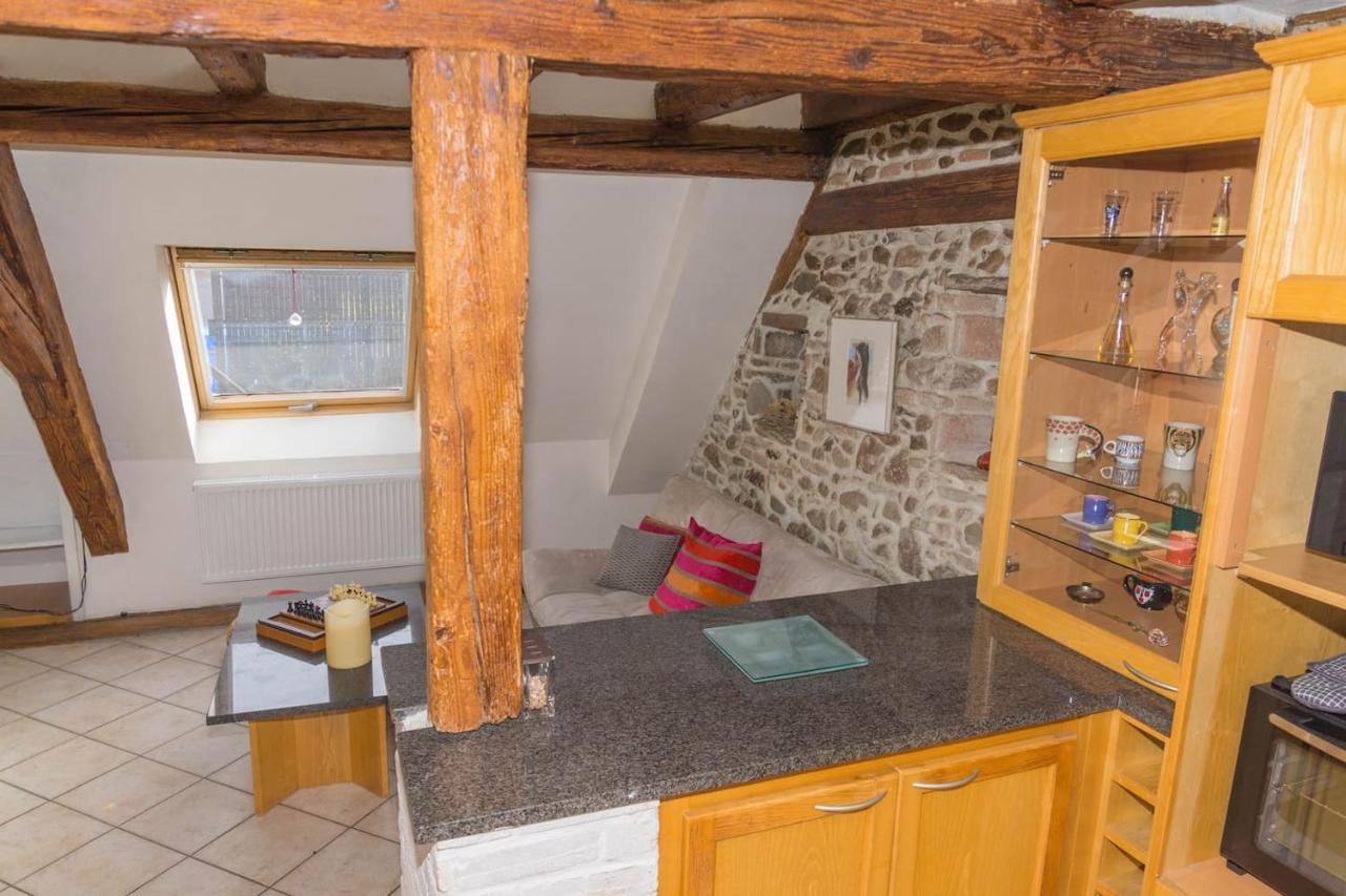 Charmant Appartement Alsacien Ribeauvillé Dış mekan fotoğraf