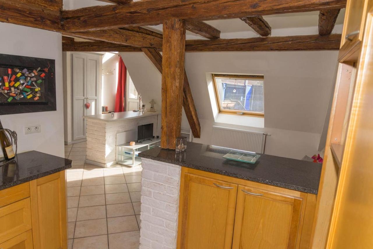 Charmant Appartement Alsacien Ribeauvillé Dış mekan fotoğraf