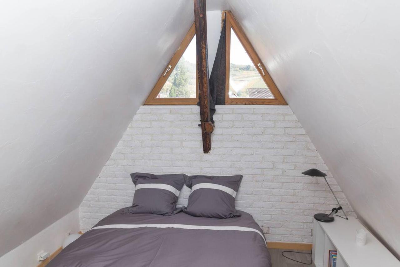 Charmant Appartement Alsacien Ribeauvillé Dış mekan fotoğraf